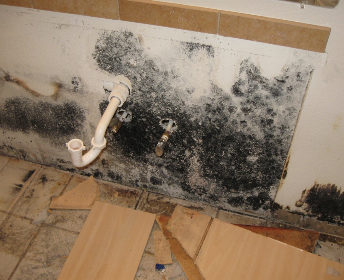 mold kitchen sink clorox wipes