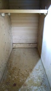 100 Pictures Of Mold In The Home