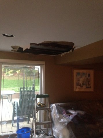 Ceiling Water Damage Repair Guide Preventing Mold