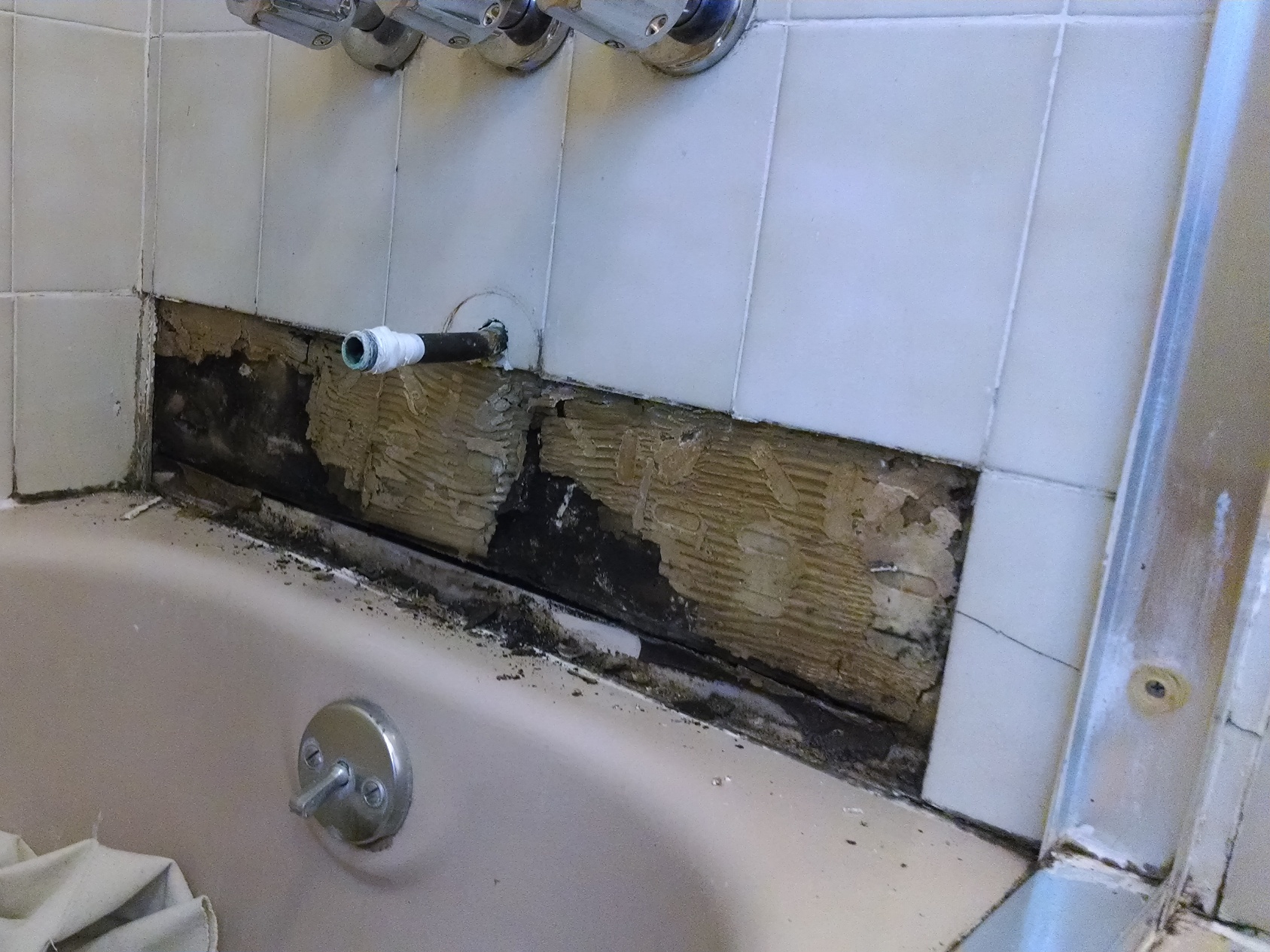 How To Get Rid Of Mold In A Bathroom Shower At Rowena Clark Blog