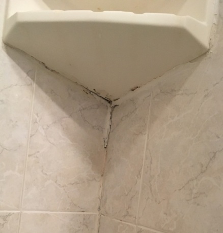 How to Get Rid of Black Mold in Bathrooms