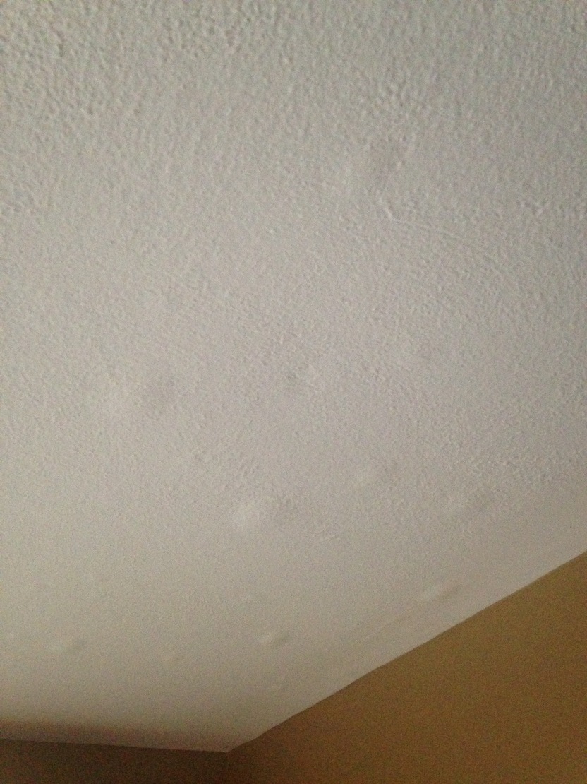 Ceiling Water Damage Repair Guide Preventing Mold