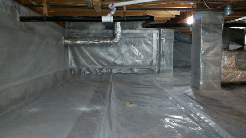 Crawlspace Mold .Signs, Causes, Removal