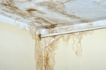 What You Should And Shouldn’t Do When Dealing With Water Damage
