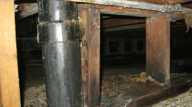 black mold in crawlspace