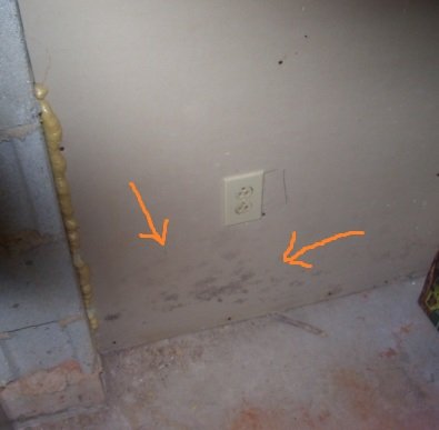 mold on basement wall